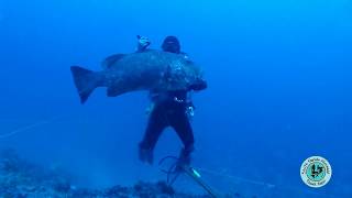 Huge Cubera bites off divers arm!