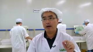 World's largest 'mosquito factory' battles diseases