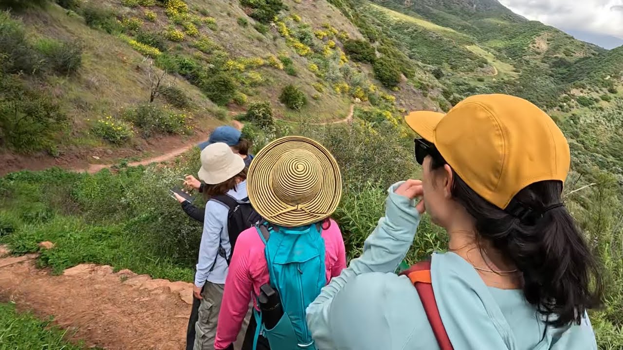 Ojai Exploring Adventure: Pratt, Cozy Dell, Foothill Trails  [4K]  #nature #exploring #hiking #ojai