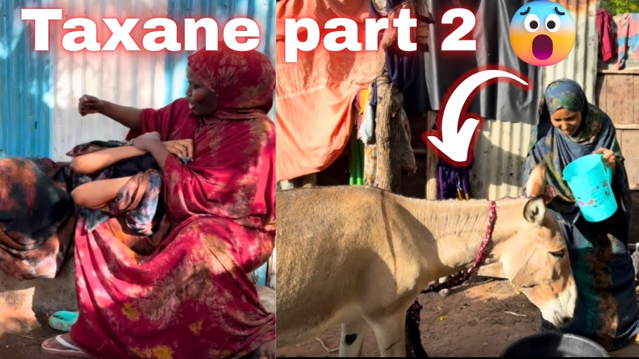 PART 2 DAMERKA U QUBEE ! NOLOSHA QOXOYIGA RAFAAD KEEDA IYO EEDO XUN