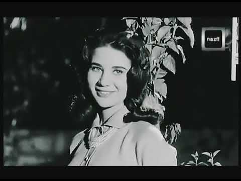 فؤش ايه خلاك تنسانى كده