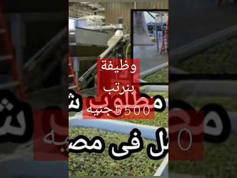 مطلوب فورا عمال انتاج