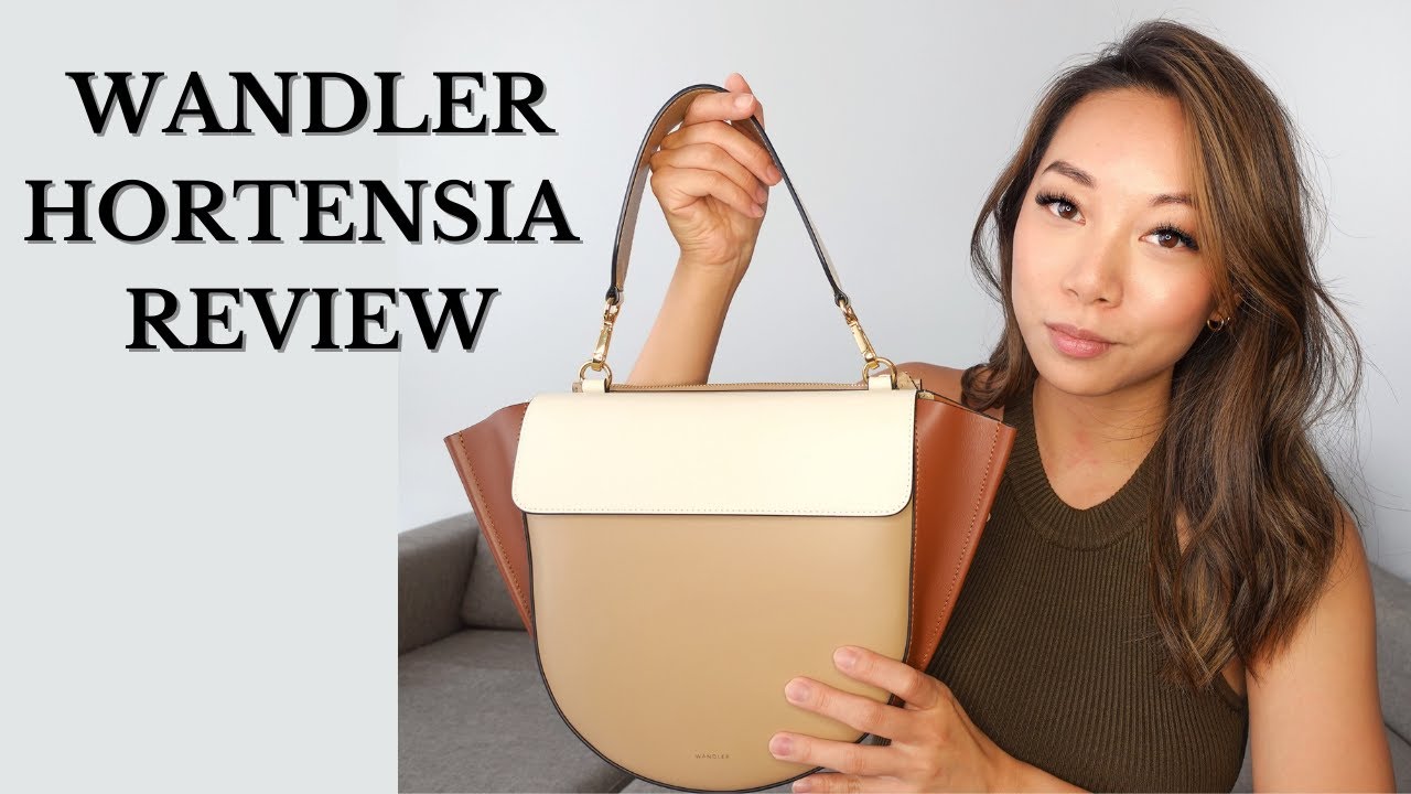 WANDLER HORTENSIA BAG REVIEW | Pros and Cons - YouTube
