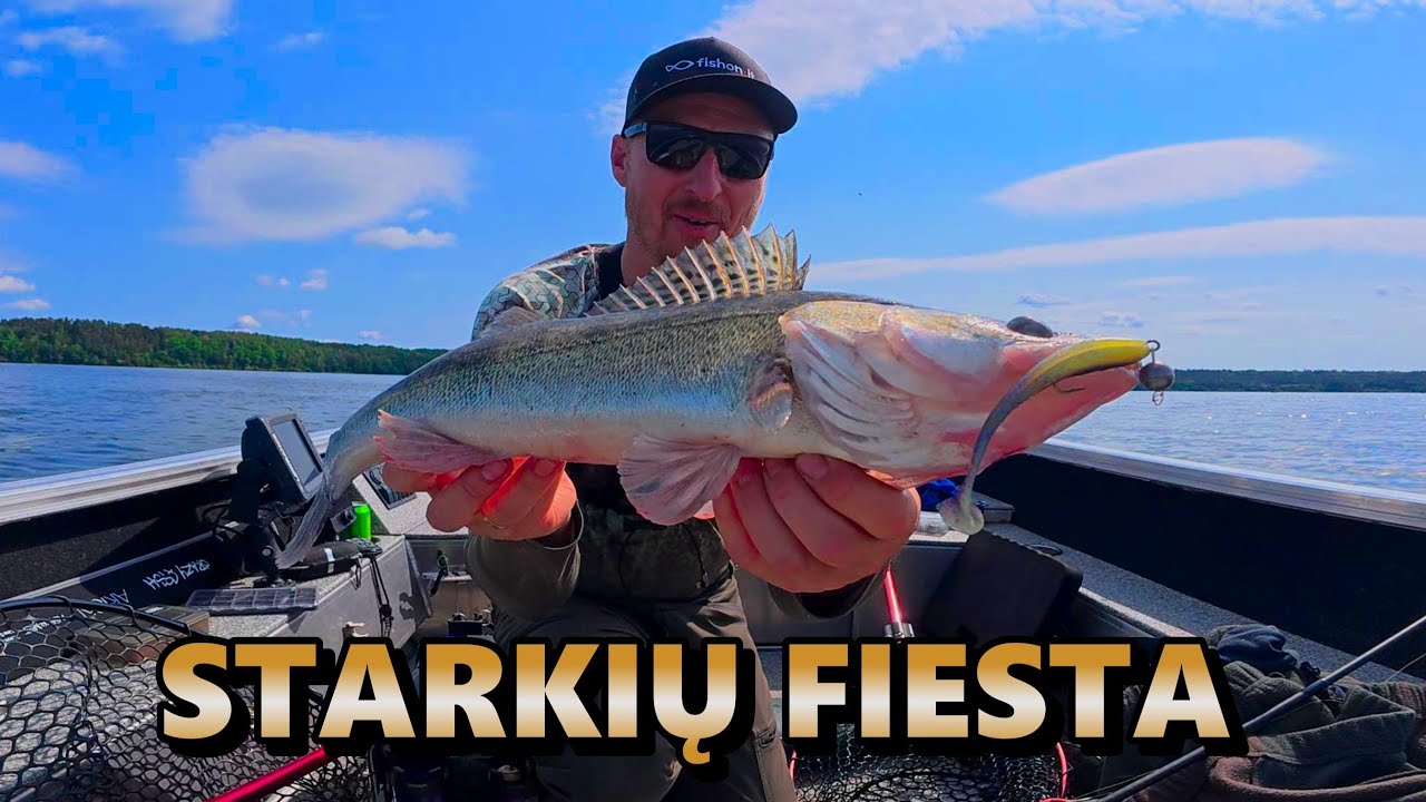 Starkių žvejyba KAUNO MARIOSE.Jie kimba ,kaip išprotėję! Nuskendo vaizdo kamera su trikoju