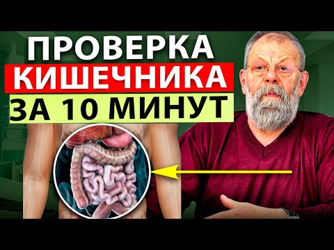 Как оценить состояние кишечника за 1 минуту без врачей и глотания кишки