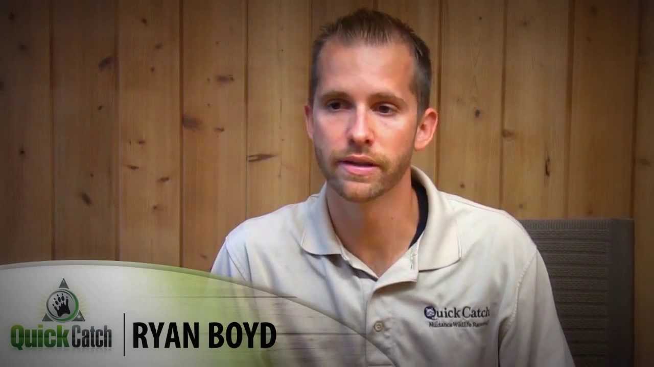 Quick Catch: Most common Snakes in Jacksonville Florida