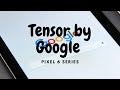 What is google tensor  pixel 6 series