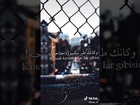 لا تبكي ولا تضحك كأنك شخص ميت 