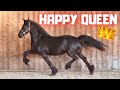 Very happy horse, Queen👑Uniek herself | Friesian Horses
