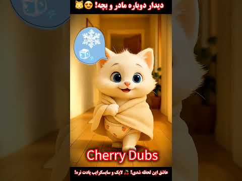 دیدار دوباره مادر و بچه گربه    