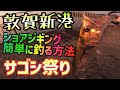 【福井県釣り】敦賀新港ショアジギングサゴシ祭り！北陸の超人気釣りポイント鞠山(まるやま)海遊パークは投げサビキ釣りだけでなくライトショアジギングもアツい！ジグパラで福井海釣り人気のおかっぱりサゴシ釣り