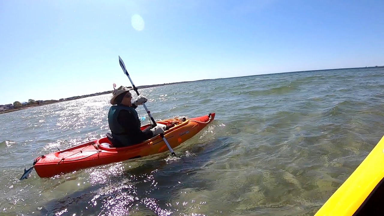 Bay Kayaking Adventure