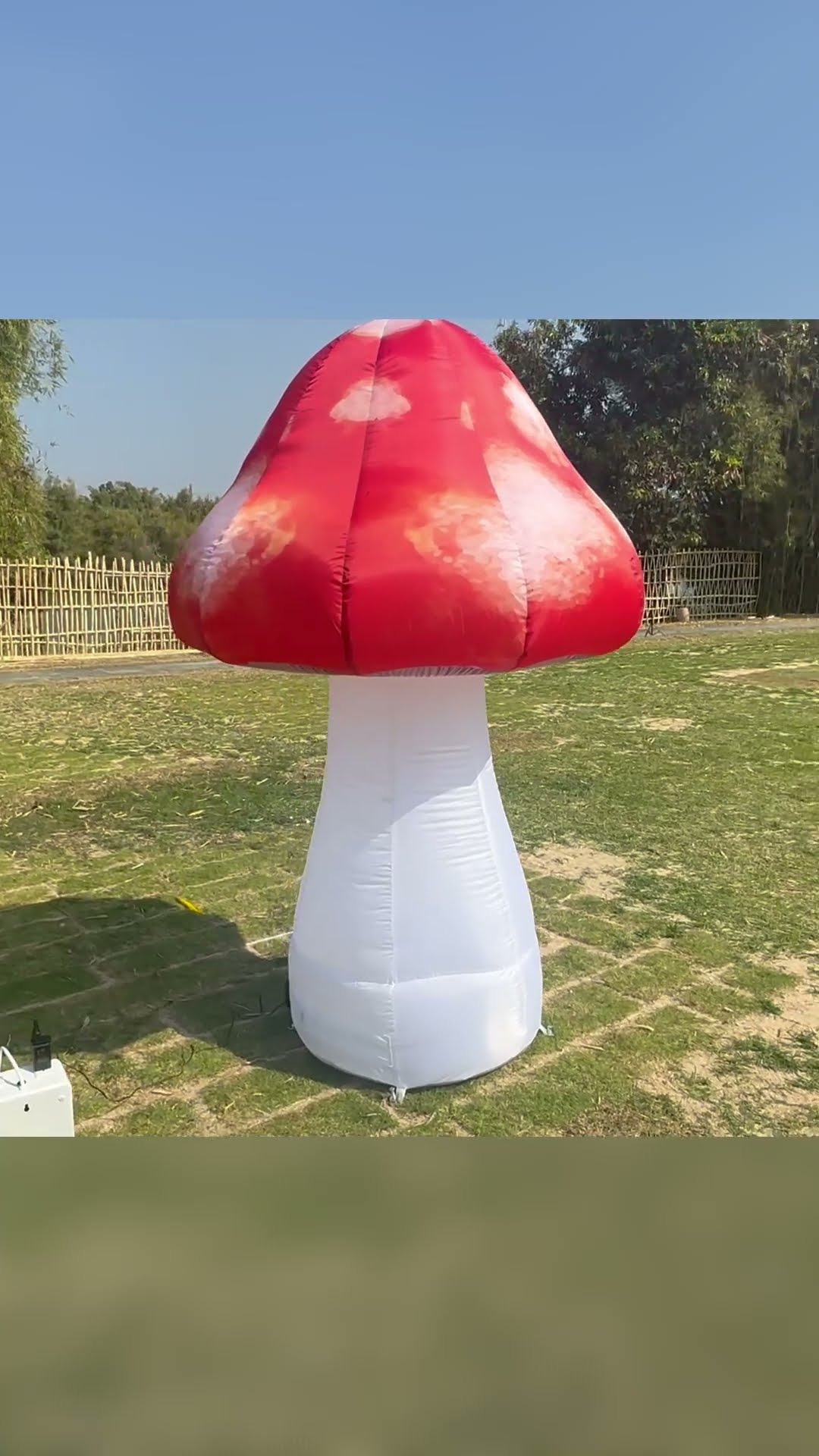 Red Inflatable Mushroom 🍄