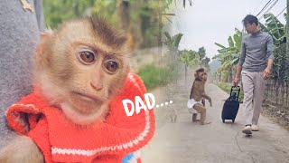 Full Video | Oh, I miss the days when Monkey Lambo was there and didn't want to leave Dad...
