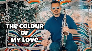 The Colour of My Love - Celine Dion | Sax cover Faramarz Nivpur