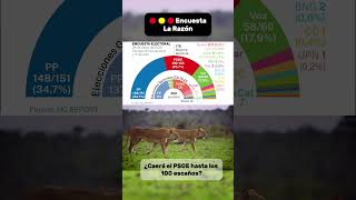 Encuesta  Cada Del Psoe Hasta Los 100 Escaos Pp 347 148151 Psoe 251 100103 Vox