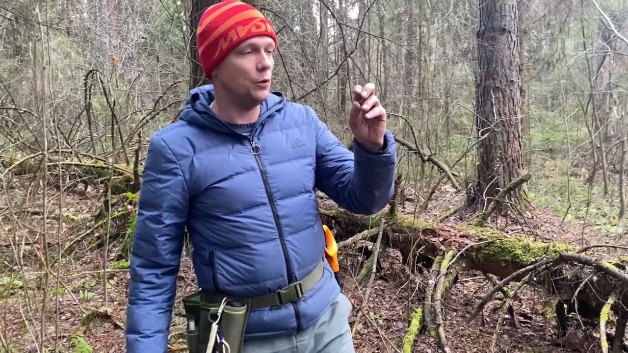 Не просто монеты! Ищем артефакты древнего поселения с XPDeus !!! 