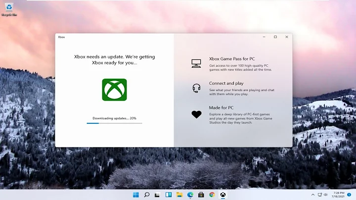 How to Enable DHCP In Windows 11