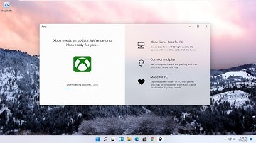 How to Enable DHCP In Windows 11