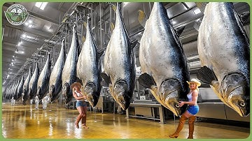 How Billions Canned Tuna Are Processed - Amazing Tuna Harvesting & Processing In Factory