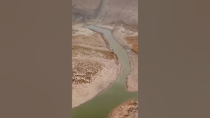 #WillemDafoe on protecting our rivers 🌊 #shorts