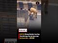 West Bengal Galti se Wrong Number Lag Gay #viral #shorts #trending #topheadlines