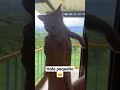 #viral