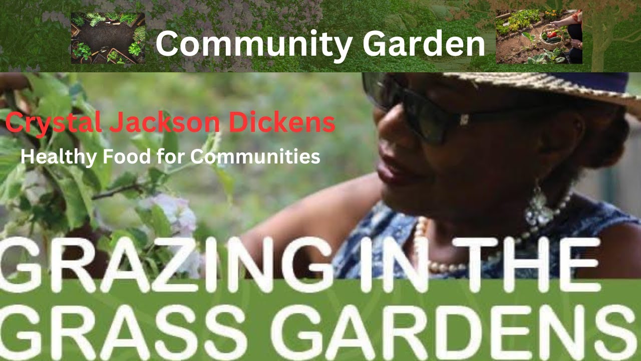 ⁣GRAZING IN THE GARDEN Metro Atlanta Community health & wellness