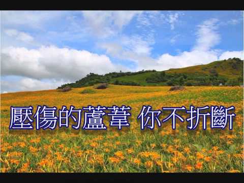 活水你不離棄練習曲A(A`下行)