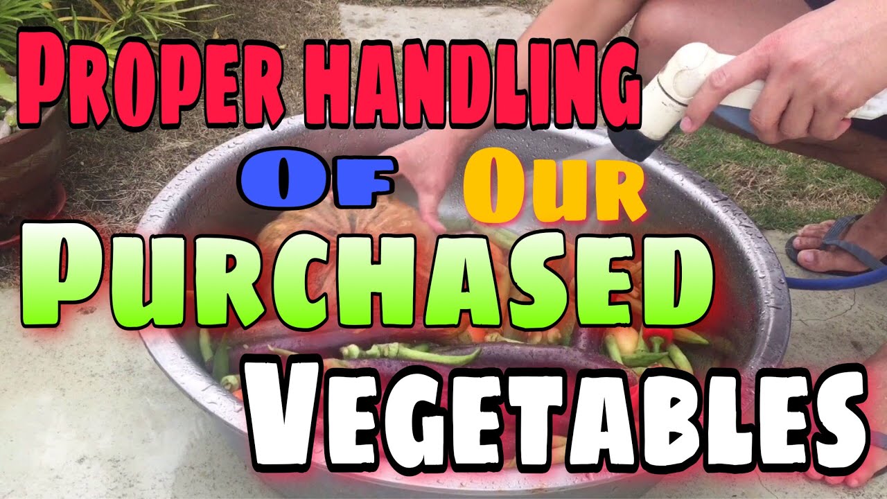VEGETABLES PROPER HANDLING | VEGETABLES CLEANING - YouTube