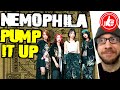 NEMOPHILA 🏋️&zwj;♂️ PUMP IT UP! + GOZO ...reaction and album review