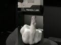 Duck off.....! #3dprinting #bambulabs