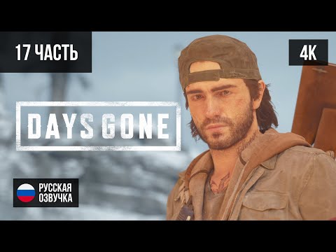 Видео: #17 ПРОХОЖДЕНИЕ DAYS GONE/ЖИЗНЬ ПОСЛЕ (2019, PS5/4K) БЕЗ КОММЕНТАРИЕВ