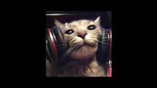 lovers rock (sped up)