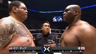Bob Sapp vs Taro Akebono II  |  Full Fight Highlights