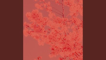 Superlative Backdrops for Calming Oneself