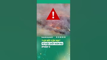 Đốt rơm rạ có tốt hay không?