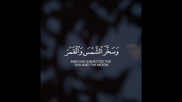 ألم تر أن الله يولج الليل في النهار ويولج النهار في الليل وسخر الشمس|سورة لقمان | القارئ أحمد النفيس