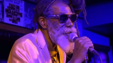 Don Carlos - harvest time - live at Reel Fish Shop 2018