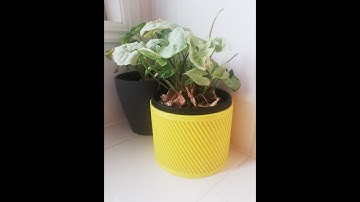 Big Spiral Planter: Voron 2.4 Timelapse