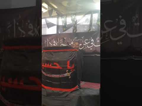 محمود الشاعر