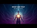 What Are You, Discover the Spiritual journey.