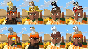 Minecraft Datapack: Hats