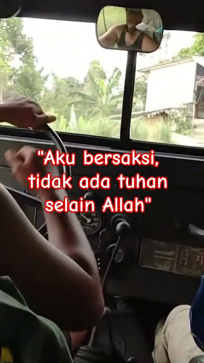 11 November 2024