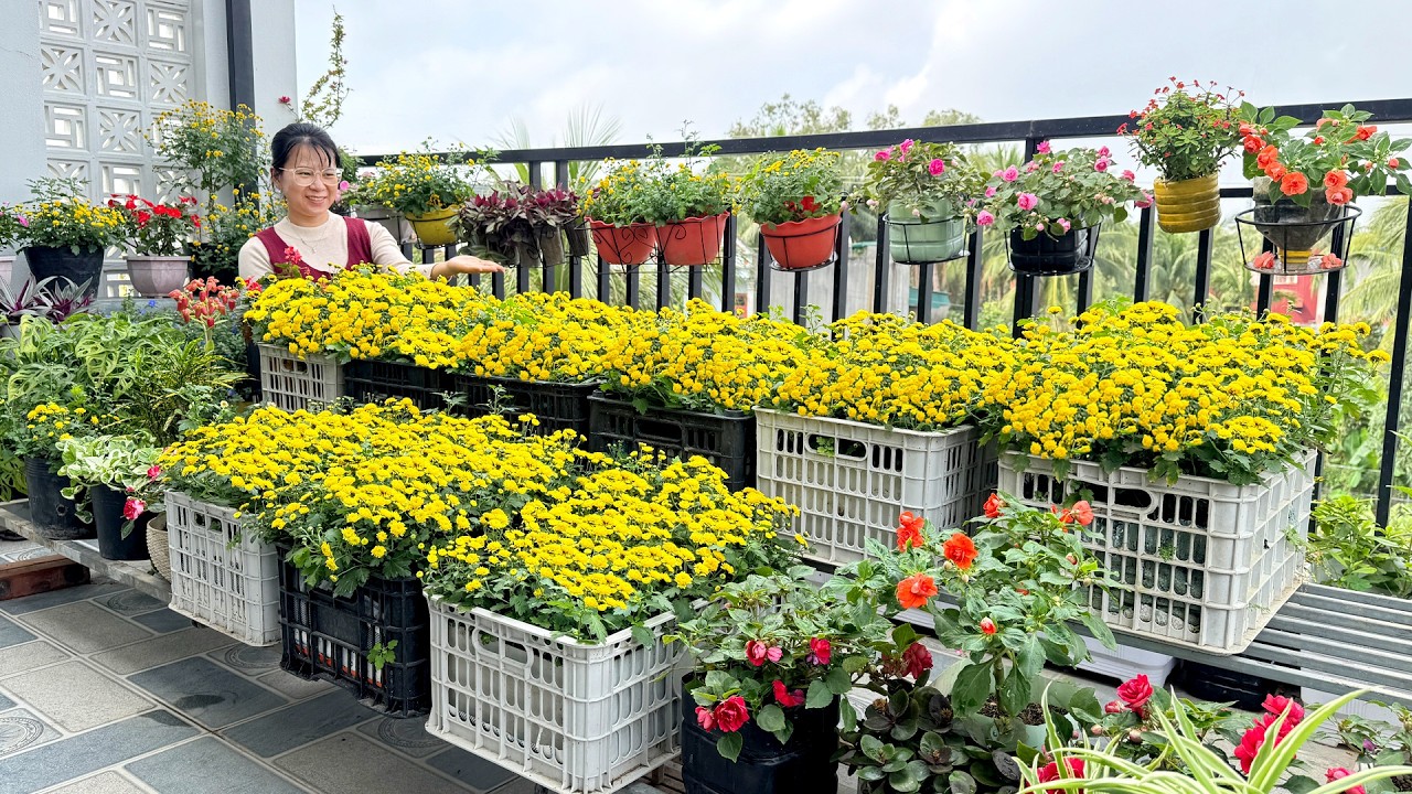 Вы удивитесь, как легко выращивать этот цветок! Полное руководство