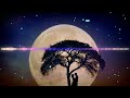 PJ RAFI - Gdy cichnie świat - Euro Disco 80s