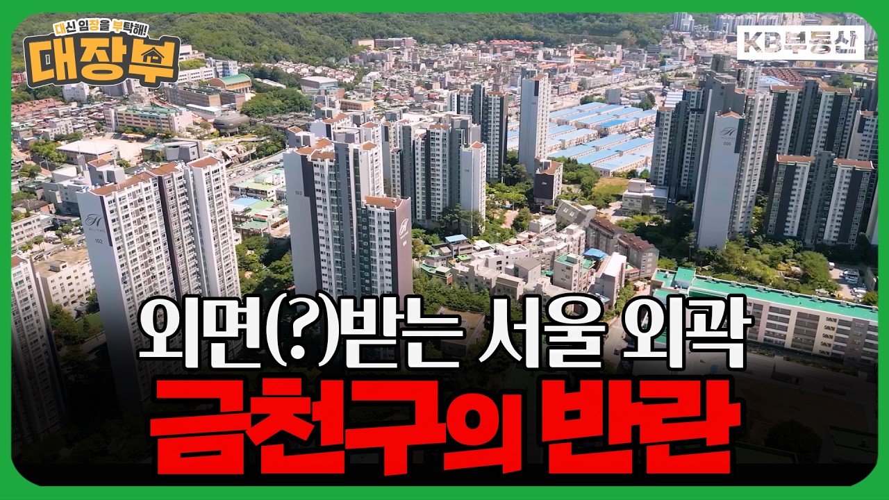 동영상 재생