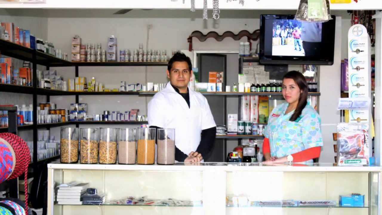 VETERINARIA AV YouTube