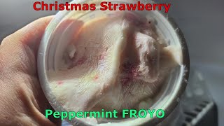 Christmas Strawberry Peppermint Froyo! ASMR Christmas dog Treat! by Creative Diamond Dogs 75 views 1 year ago 4 minutes, 49 seconds