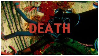 Diving with Idiots (Gone Wrong) | Murky Divers |